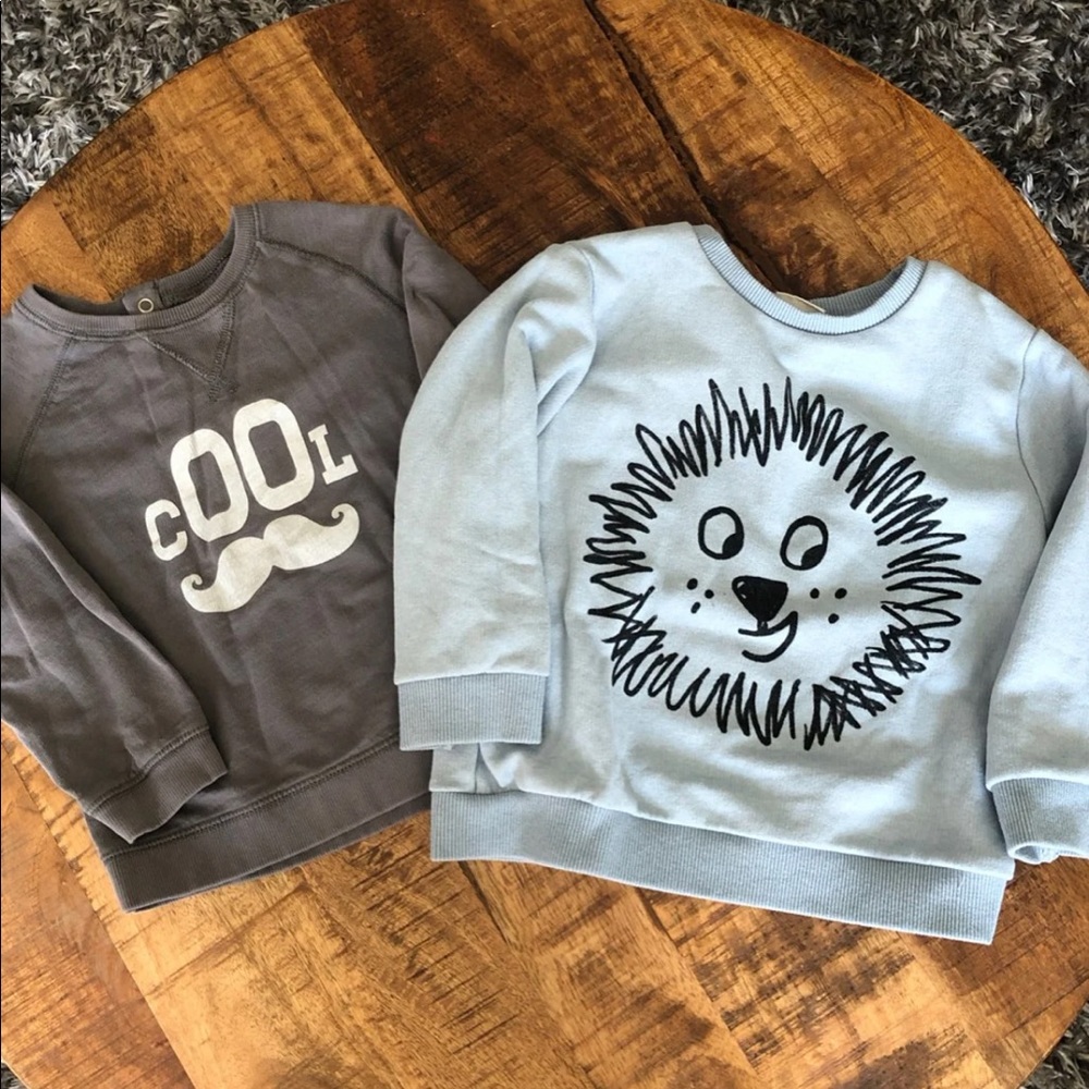 zara hoddies